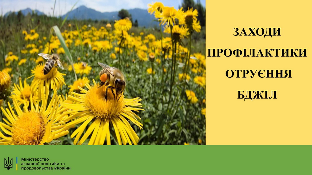 Заходи профілактики отруєння бджіл